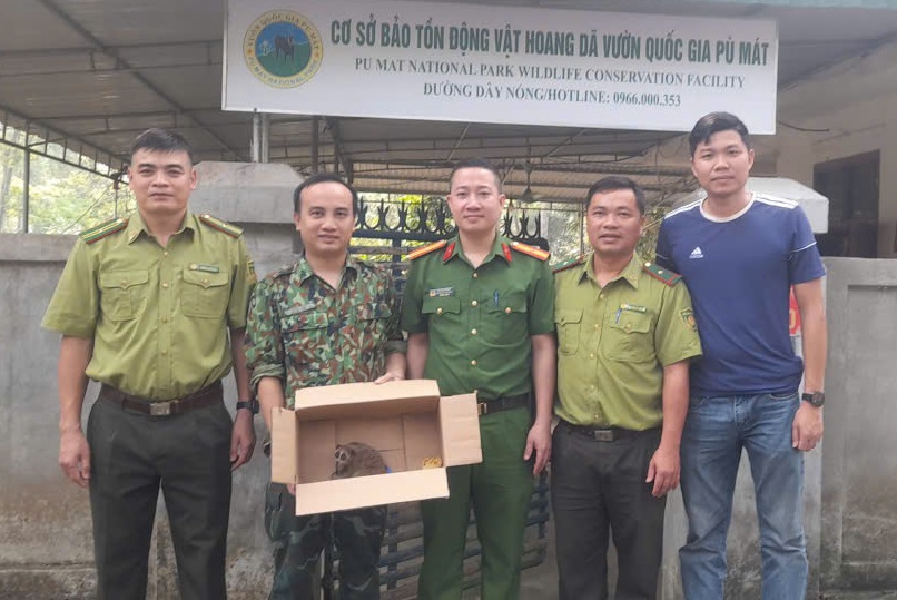 Lực lượng chức năng tiếp nhận cá thể culi do ông Can Văn Túc giao nộp 