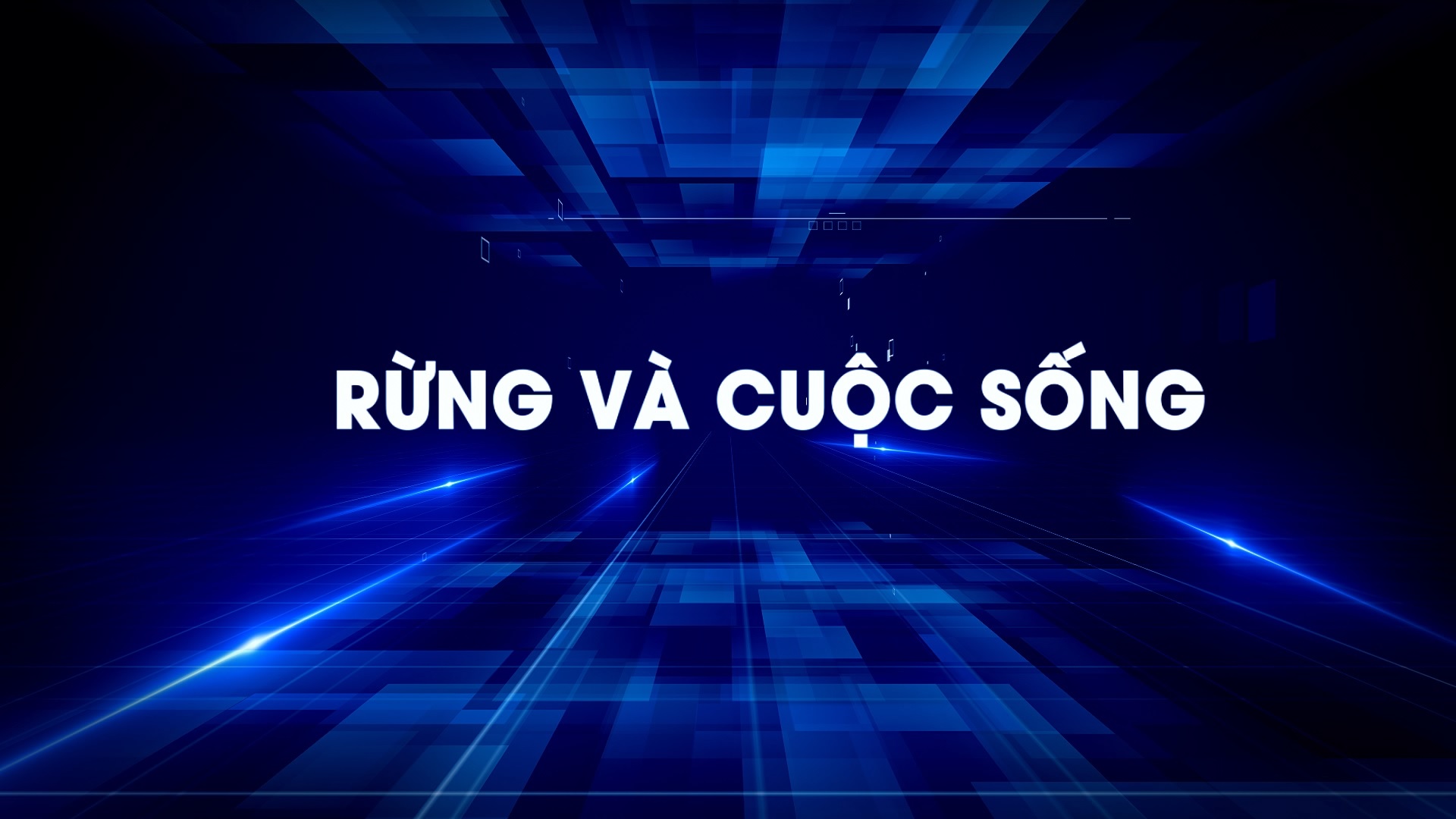 Rừng và cuộc sống 22-07-2026