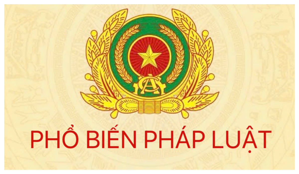 Trường hợp không xử phạt vi phạm hành chính về thuế, hóa đơn theo quy định mới nhất hiện nay