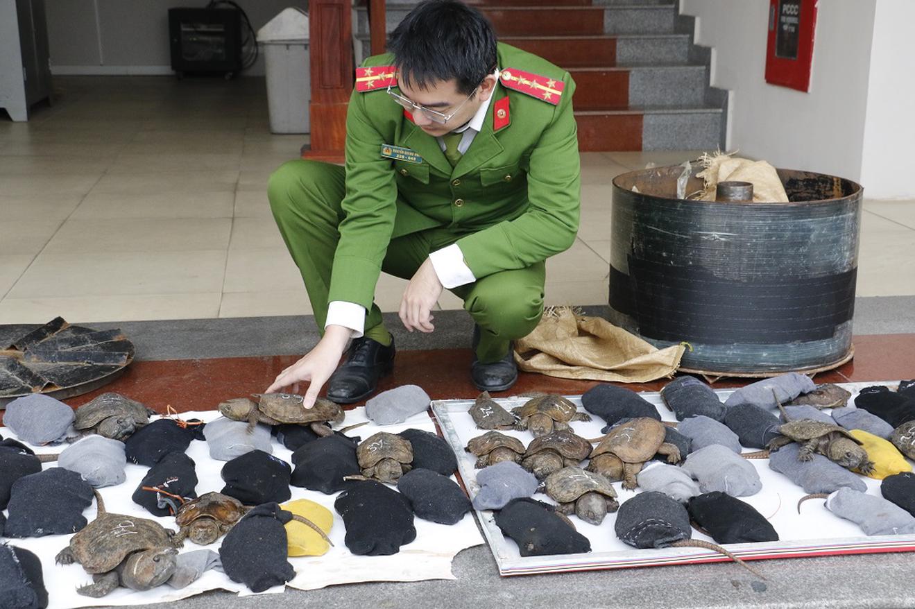 Công an tỉnh Nghệ An bắt giữ vụ vận chuyển động vật hoang dã liên quan đến môi trường