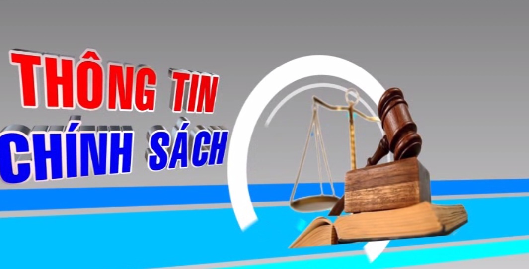 Thông tin chính sách 07-09-2026