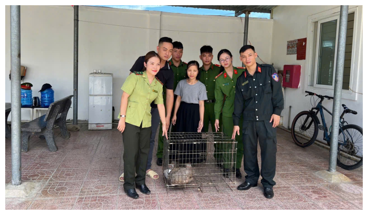 Cảnh sát Cơ động phát hiện, bàn giao cá thể tê tê quý hiếm