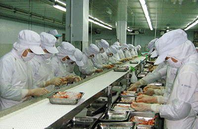 Nhiều chính sách mới được ban hành tạo thuận lợi hơn cho doanh nghiệp trong sản xuất, kinh doanh. Trong ảnh: Chế biến tôm xuất khẩu tại Công ty CP Hải Việt (KCN Đông Xuyên, TP.Vũng Tàu). Ảnh: LAM PHƯƠNG