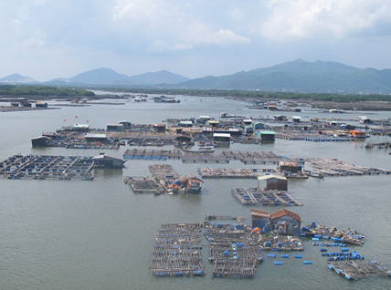 Một góc khu quy hoạch nuôi trồng thủy sản lồng bè trên sông Chà Và.