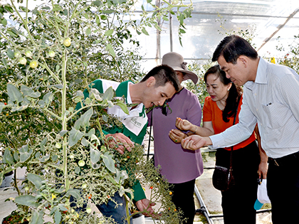 Đồng chí Nguyễn Hồng Lĩnh, Ủy viên Trung ương Đảng, Bí thư Tỉnh ủy tham quan nông trại trồng rau công nghệ cao Vifarm (TP. Vũng Tàu).