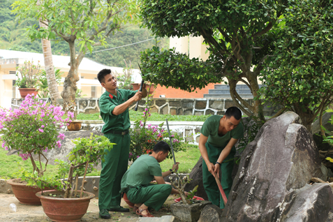 Chiến sĩ Đại đội Phòng không 7 chăm sóc cây cảnh chuẩn bị đón Tết.