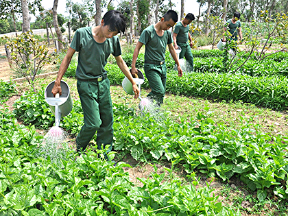 Ngoài học tập, tân binh còn tích cực lao động tăng gia sản xuất, cải thiện bữa ăn cho đơn vị.
