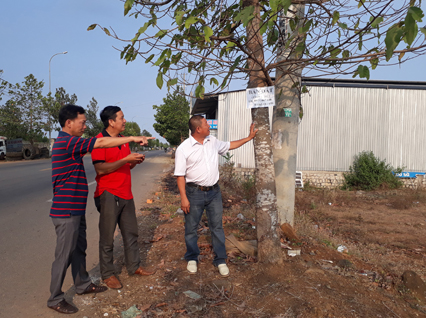 Những ngày này, nhiều người dân trong và ngoài tỉnh đổ xô đi tìm mua đất ở khu vực xung quanh các dự án. Trong ảnh: Nhóm khách đến từ TP.Vũng Tàu xem xét một lô đất gần dự án KCN - Đô thị Châu Đức (xã Suối Nghệ, huyện Châu Đức) vào chiều 18-4. Ảnh: ĐINH HÙNG
