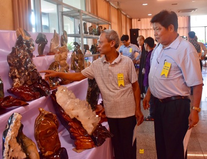 Đại biểu tham quan, tìm hiểu đá cảnh - đá phong thủy trưng bày trong khuôn khổ Đại hội.