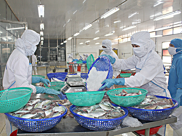Chế biến hải sản tại Công ty Baseafood.