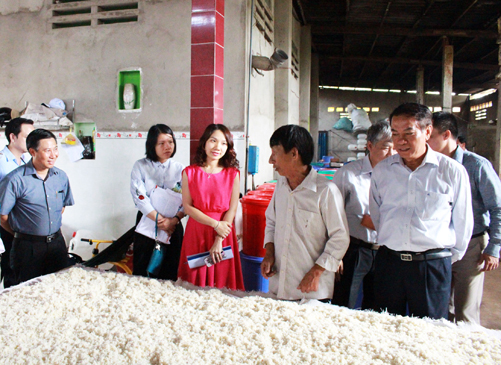 Xã Hòa Long, TP.Bà Rịa chú trọng phát triển kinh tế bằng các ngành tiểu thủ công nghiệp, dịch vụ nhưng vẫn giữ gìn các làng nghề truyền thống.  Trong ảnh: Du khách tham quan quy trình nấu rượu truyền thống ở ấp Đông, xã Hòa Long.