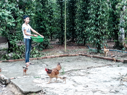 Em Nguyễn Thị Xuân (HS lớp 8, trường THCS Nguyễn Trung Trực, xã Suối Rao, Châu Đức) phải phụ cha mẹ việc nhà nên ít có thời gian tham gia sinh hoạt hè. 
