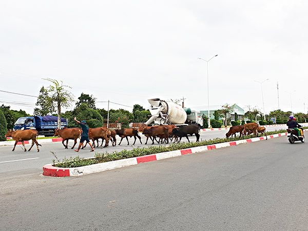 Ảnh chụp vào lúc 14 giờ ngày 20-7-2018.