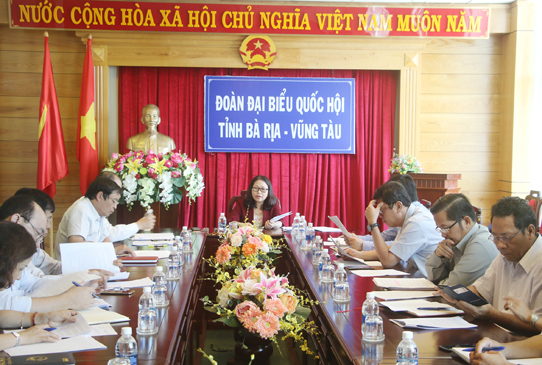 Đồng chí Nguyễn Thị Yến, Phó Bí thư Thường trực Tỉnh ủy, Trưởng Đoàn Đại biểu Quốc hội tỉnh chủ trì cuộc họp.