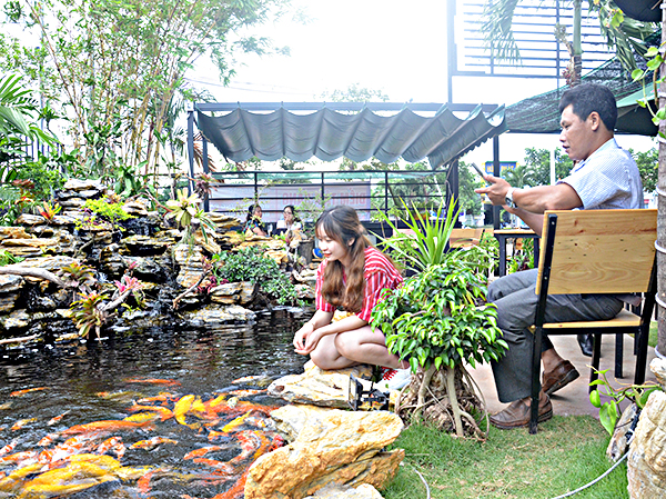 Khách vui đùa với cá Koi tại quán cà phê BBKoi fish. 