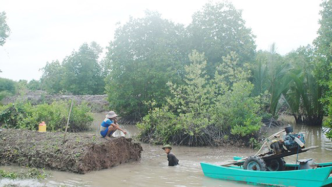 Người dân Cà Mau thường xuyên nạo vét ao tôm, nhưng không có nơi chứa đất.