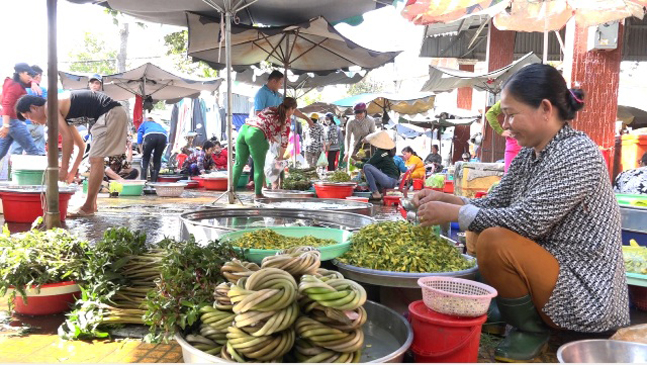 Bông điên điển, bông súng tươi.