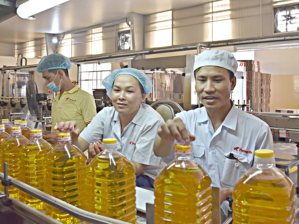 Kinh tế tư nhân đóng vai trò quan trọng trong phát triển kinh tế địa phương.  Trong ảnh: Công nhân Nhà máy dầu ăn Tường An (KCN Mỹ Xuân, TX. Phú Mỹ) đóng chai dầu ăn - sản phẩm của Công ty CP Dầu thực vật Tường An. Ảnh: QUANG VŨ 
