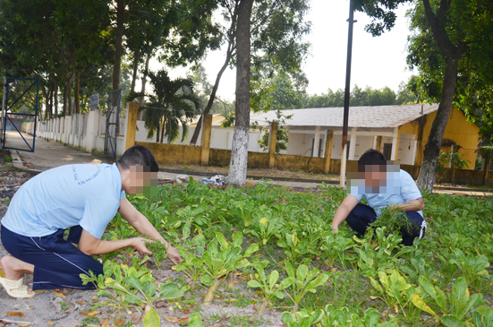 Học viên lao động tại Cơ sở tư vấn và điều trị nghiện ma túy (xã Tóc Tiên, TX. Phú Mỹ).
