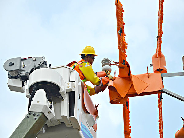 Công nhân Công ty Điện lực BR-VT kiểm tra lưới điện. Ảnh: ĐINH HÙNG