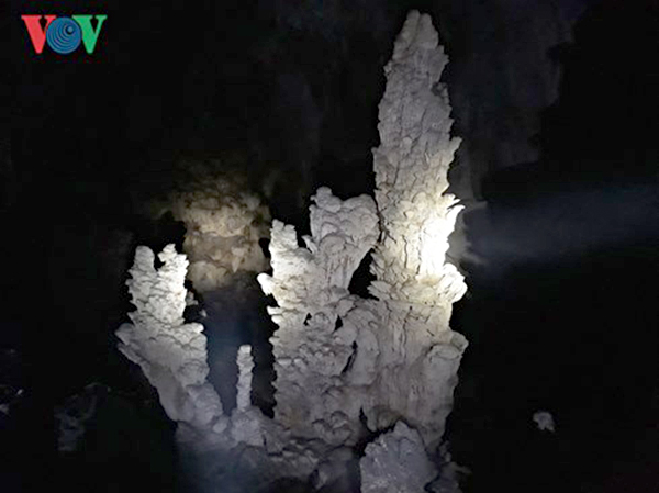 Hình thù kỳ lạ, đẹp mắt do thạch nhũ tạo nên, được nhóm nghiên cứu chụp lại trong động.