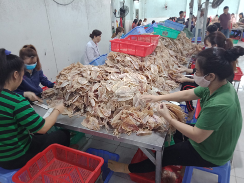 Đóng gói mực khô tại cơ sở số 69/6, Lê Hồng Phong, phường 7,TP.Vũng Tàu.