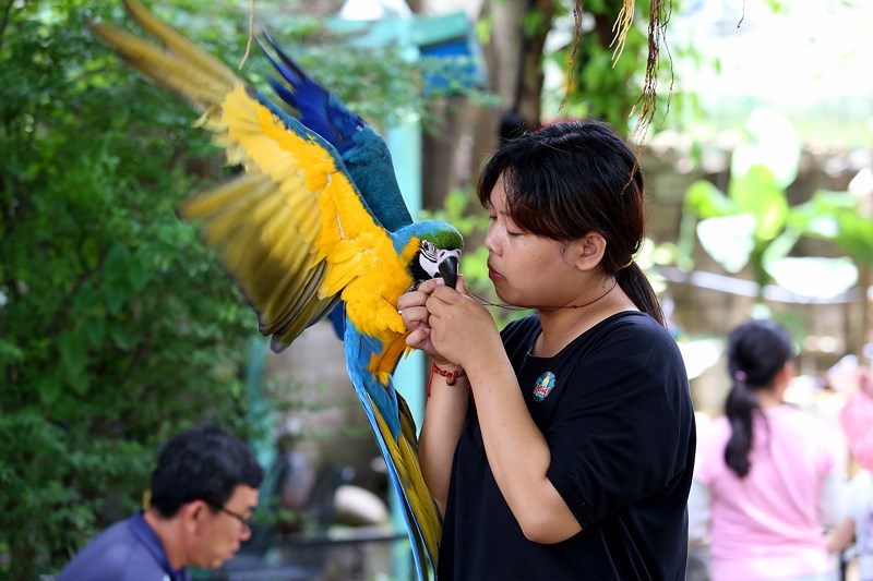 Vẹt trong quán đều được huấn luyện nên khá dạn người, một số con có thể nói được.