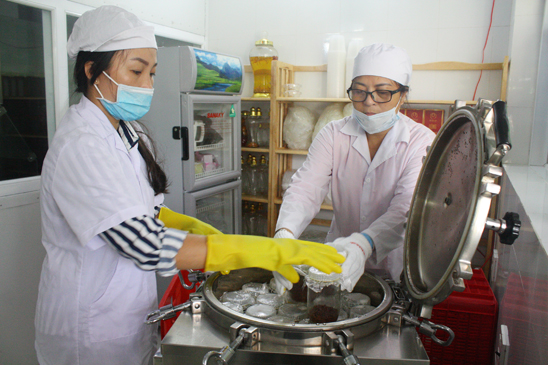 Các hộp giá thể được hấp chờ cấy tế bào nấm đông trùng hạ thảo.