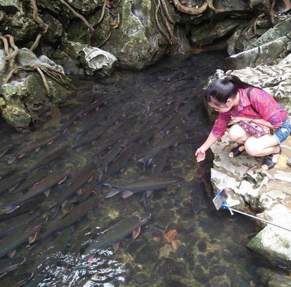 Đoạn suối tập trung cá đông nhất là cách cửa hang khoảng 100m. Ảnh: @chius.99