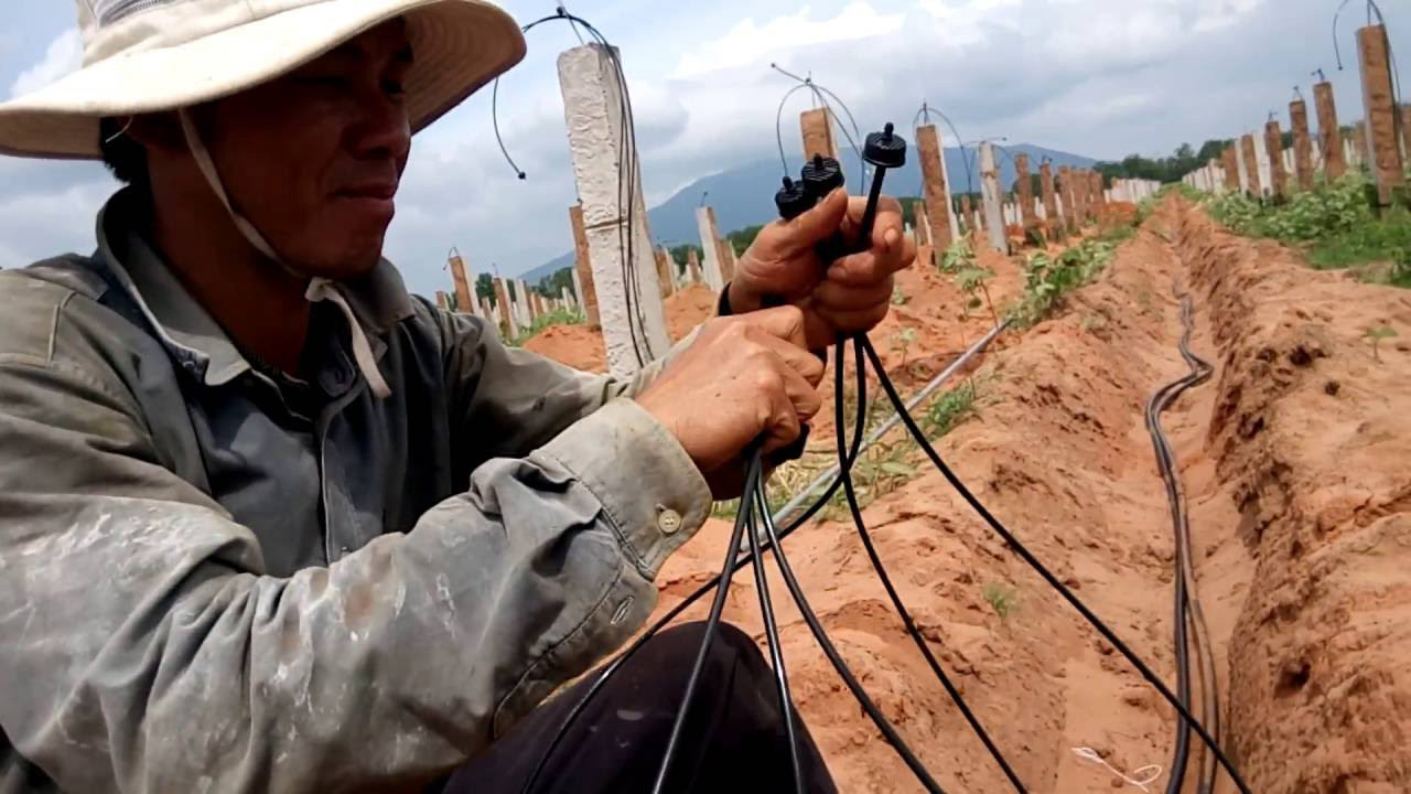 Hệ thống tưới bù áp đang được nhiều người nông dân tin dùng sau khi đạt giải Nhất tại cuộc thi khởi nghiệp đổi mới sáng tạo năm 2017. Trong ảnh: Công nhân Công ty TNHH Công nghệ tưới Asop lắp đặt hệ thống tưới bù áp cho vườn thanh long ở Bình Thuận.
