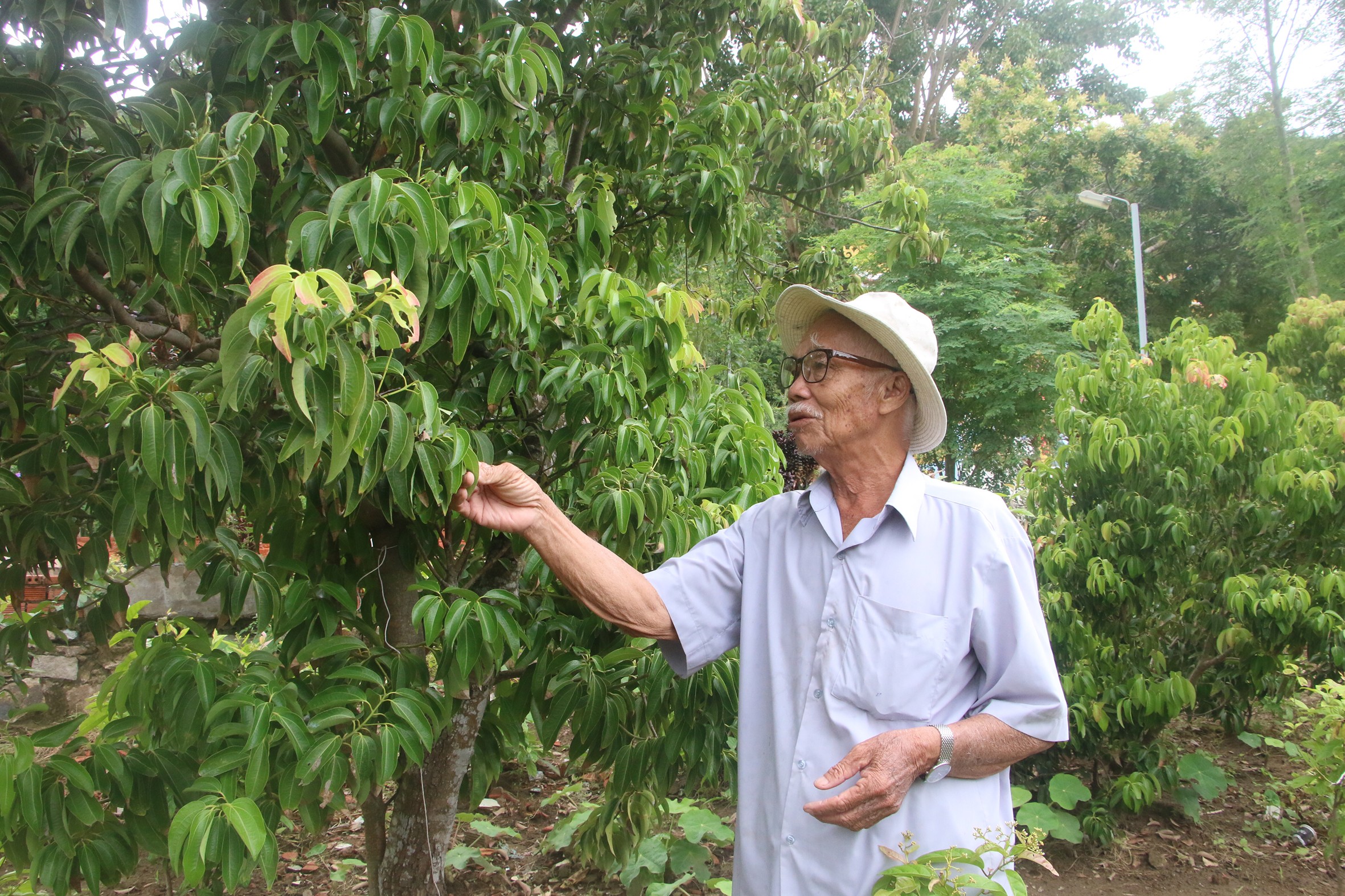 Tu sĩ Nguyễn Văn Tư thăm vườn thuốc Nam Phước Thiện Hưng Thắng Tự (phường 5, TP.Vũng Tàu).  