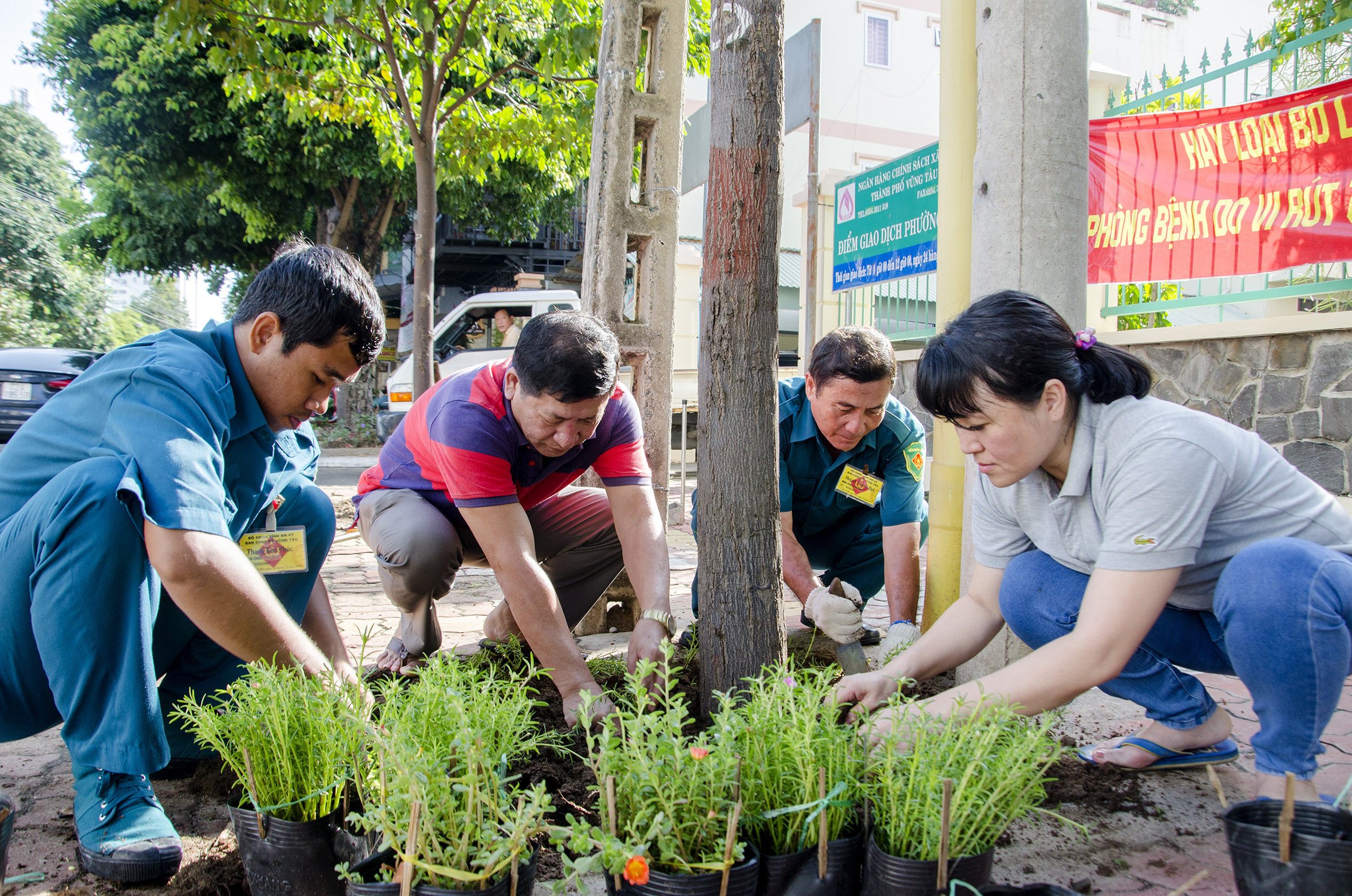 Cán bộ và nhân dân phường 7 (TP.Vũng Tàu) tham gia trồng hoa tại các bồn cây xanh  trên địa bàn. 