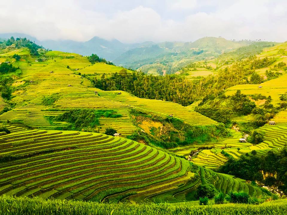 Ruộng xếp tầng, xếp lớp trải rộng giữa bạt ngàn núi rừng Tây Bắc với vẻ đẹp hoang sơ, bình dị nhưng rất hùng vĩ.