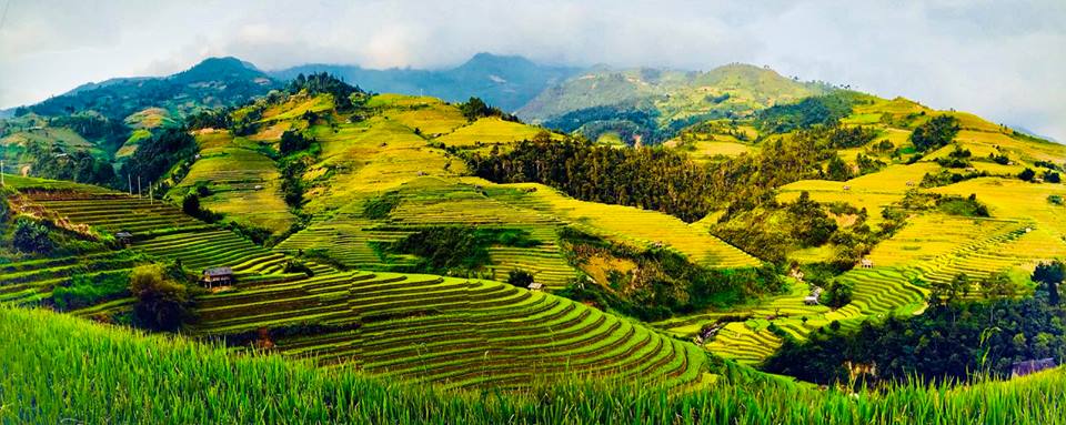 Ruộng bậc thang tập trung nhiều ở 3 xã: La Pán Tẩn, Chế Cu Nha, Dế Xu Phình...