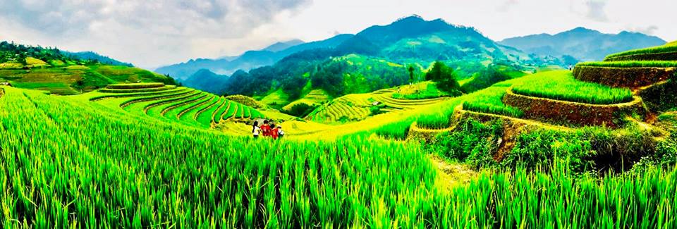 Đây đang là điểm du lịch thu hút đông đảo du khách trong và ngoài nước tới tham quan, thưởng ngoạn.