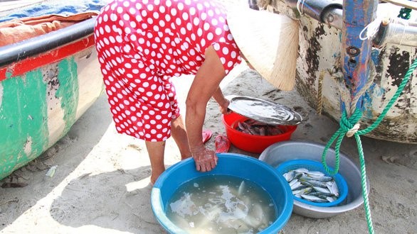 Sáng sớm, cá tôm được ngư dân của làng đánh bắt về.