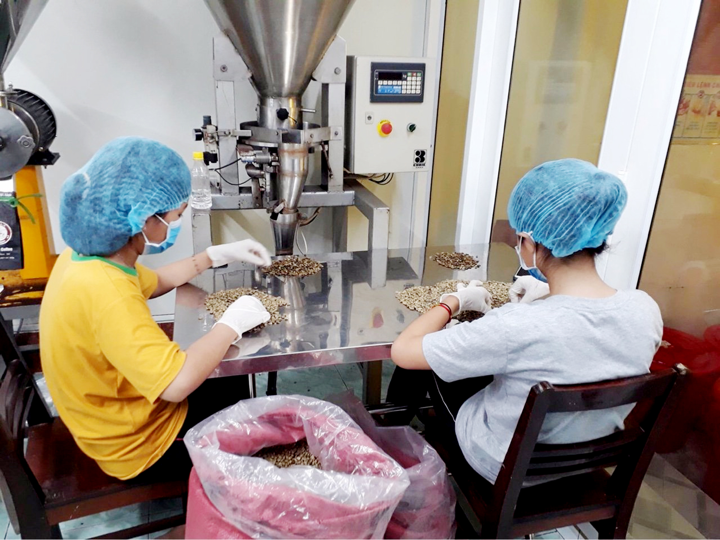 Công nhân Công ty TNHH Sản xuất - Xuất nhập khẩu cà phê Nón Lá (TX.Phú Mỹ) kiểm tra chất lượng hạt cà phê nguyên liệu.