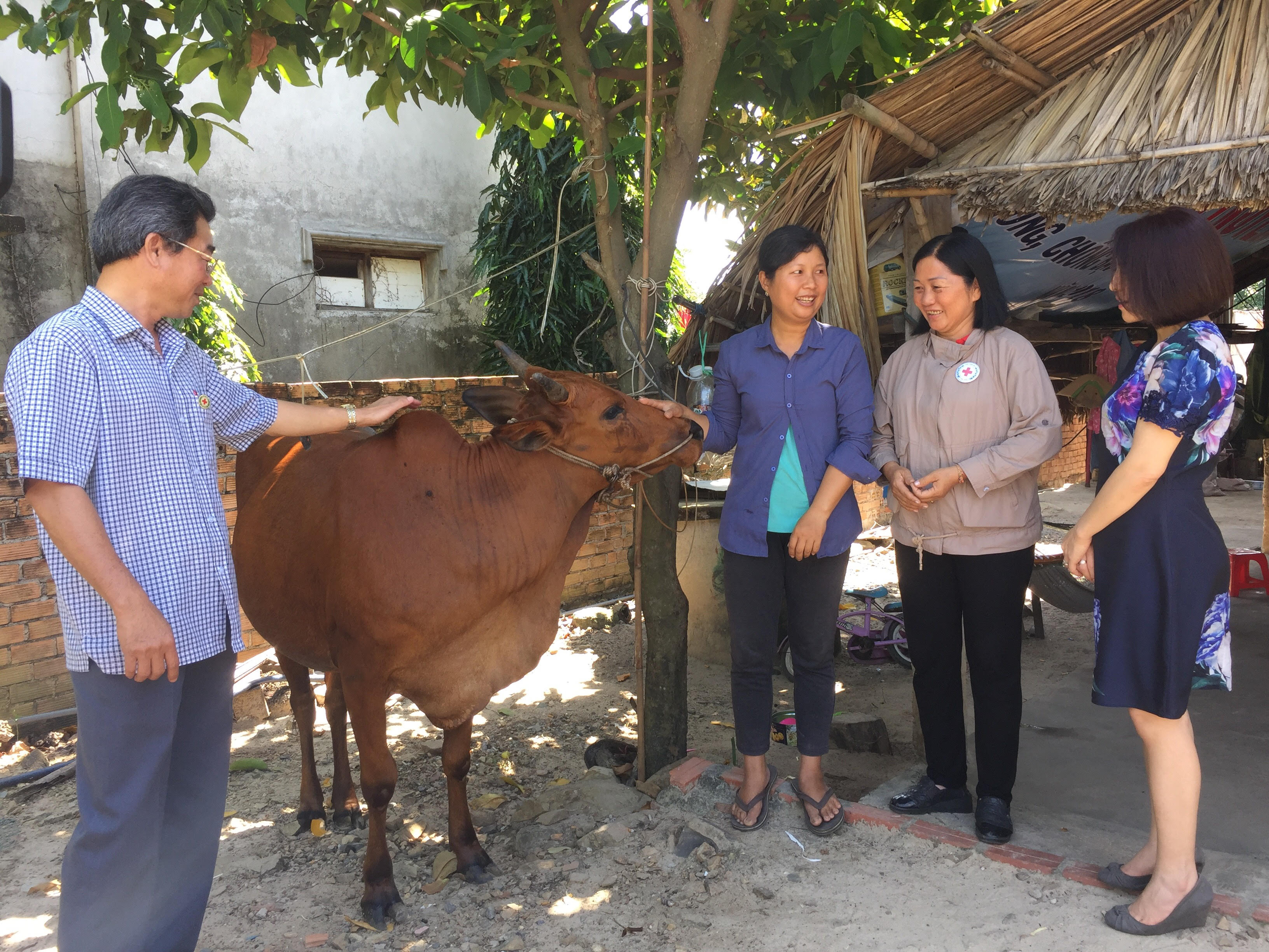 Đại diện Hội Chữ thập đỏ tỉnh và Công ty Điện lực TNHH BOT Phú Mỹ 3 trao bò giống cho gia đình anh Ngô Văn Cường (xã Châu Pha, TX.Phú Mỹ).