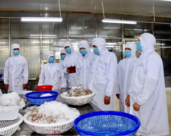 Đoàn công tác của Ủy ban Trung ương MTTQVN tham quan tại Công ty Baseafood.
