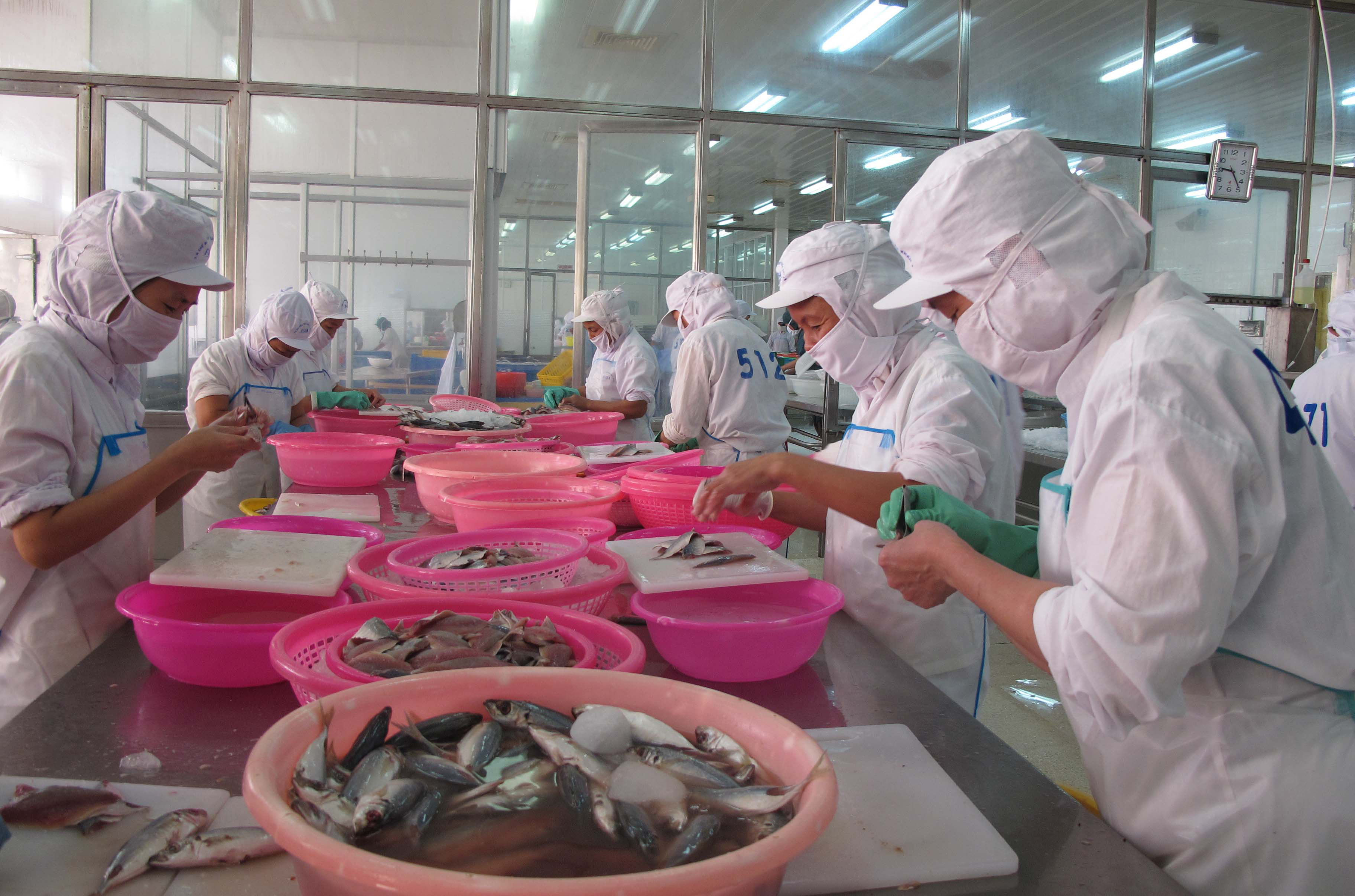 Chế biến hàng hải sản xuất khẩu tại Công ty Baseafood.