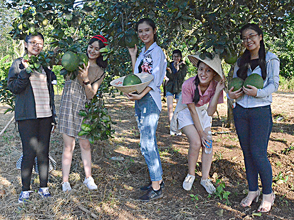 Nhóm SV Trường ĐH Quốc tế Hồng Bàng (TP.Hồ Chí Minh) tham quan vườn trái cây Green Farm. 