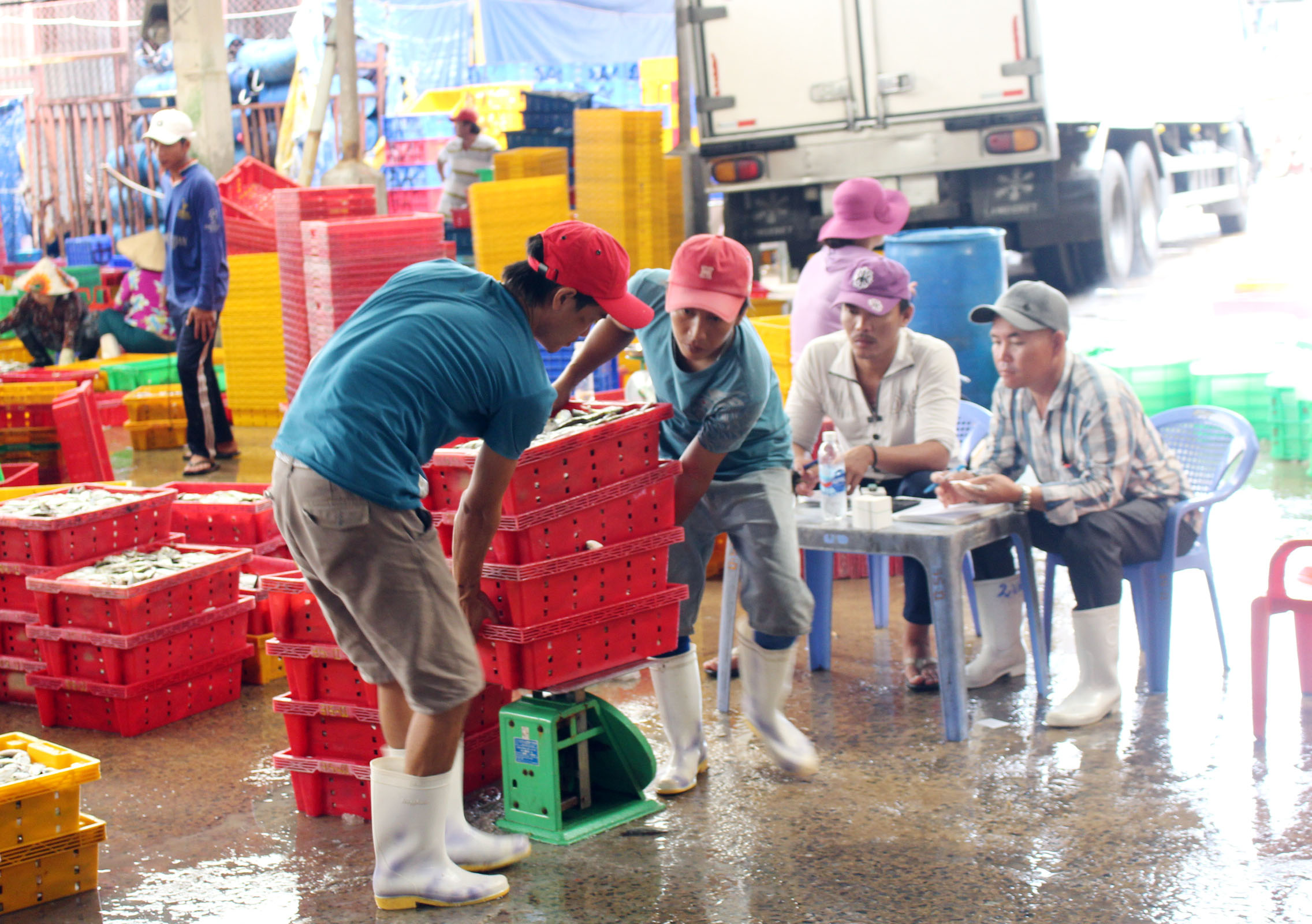 Việc đánh bắt của các tàu cá sẽ được kiểm soát chặt chẽ hơn trong thời gian tới. Trong ảnh: Thu mua, phân loại cá tại cảng cá phường Thắng Nhì (TP.Vũng Tàu).