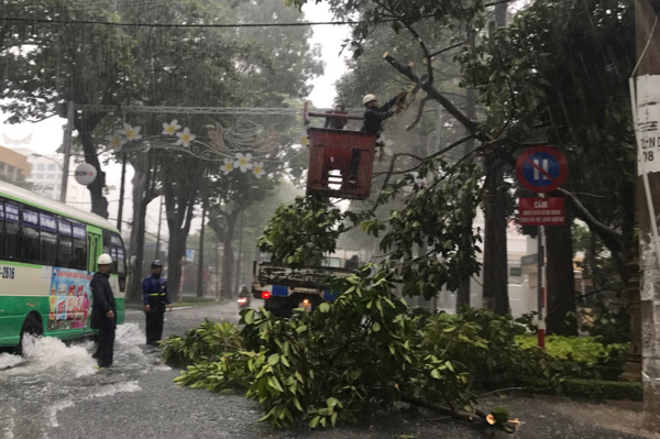 Dọn dẹp cây ngã đổ trong mưa bão. Ảnh: MINH TÂM