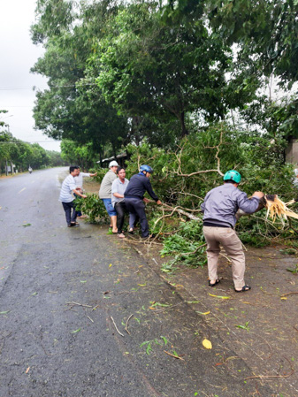 Dọn dẹp cây đổ ở xã Bông Trang, huyện Xuyên Mộc. Ảnh: MINH TÂM