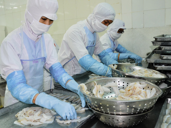 Công nhân Công ty TNHH Cung ứng hàng thủy sản xuất khẩu Tứ Hải chế biến cá đục phi lê xuất khẩu.