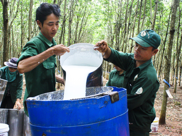 Theo kết quả khảo sát về triển vọng năm 2019 của Vietnam Supply Chain (Một tổ chức độc lập phi lợi nhuận dành cho hơn 11.000 chuyên gia trong ngành quản lí cung ứng Việt Nam) vừa công bố, có đến 80,6% DN lạc quan tin tưởng rằng 2019 sẽ là một năm tốt hơn 2018. 
