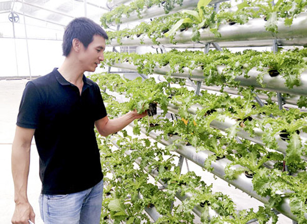 Hiện nay, trên địa bàn tỉnh đã có hơn 1.000ha sản xuất nông nghiệp ứng dụng công nghệ cao. Trong ảnh: Sản xuất rau ứng dụng công nghệ thủy canh lưu hồi tại trang trại vifarm, TP.Vũng Tàu. Ảnh: ĐÔNG HIẾU