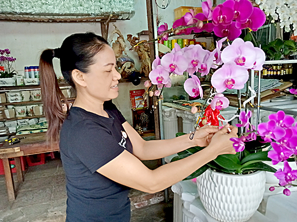 Chủ vườn Huệ hoa lan chuẩn bị hàng cho khách. Ảnh: VÂN ANH