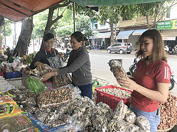 Khách hàng chọn mua nấm hương Sa Pa, măng khô tại cửa hàng Bắc (41, Nguyễn Tri Phương, TP. Vũng Tàu).