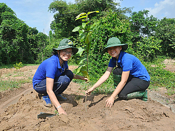 Hưởng ứng “Tết trồng cây” do Bác Hồ phát động năm 1960, hàng năm đoàn viên, thanh niên trong toàn tỉnh đã ra quân trồng mới cây xanh, bảo vệ môi trường. Trong ảnh: Đoàn viên, thanh niên tỉnh BR-VT trồng cây tại Khu bảo tồn thiên nhiên Bình Châu - Phước Bửu (huyện Xuyên Mộc). Ảnh: NHÂN ĐOÀN 